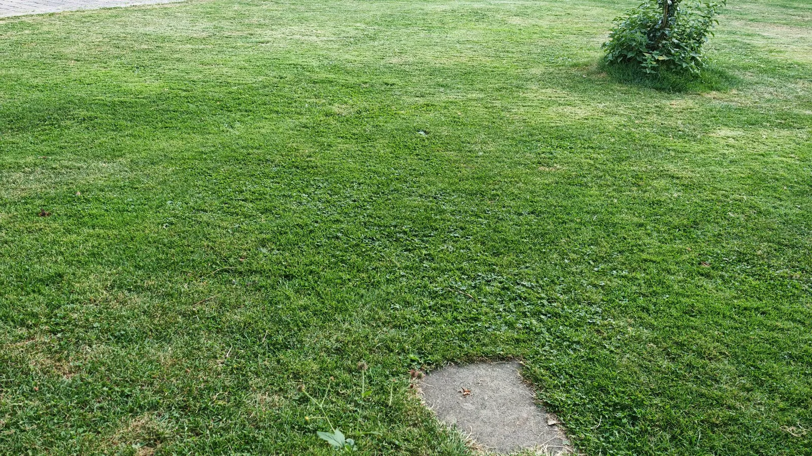 Mähteller für Navimow i105E – Foto 7
